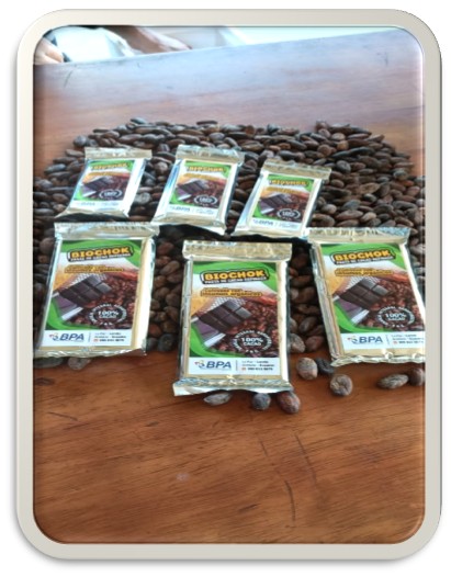 Proceso cacao